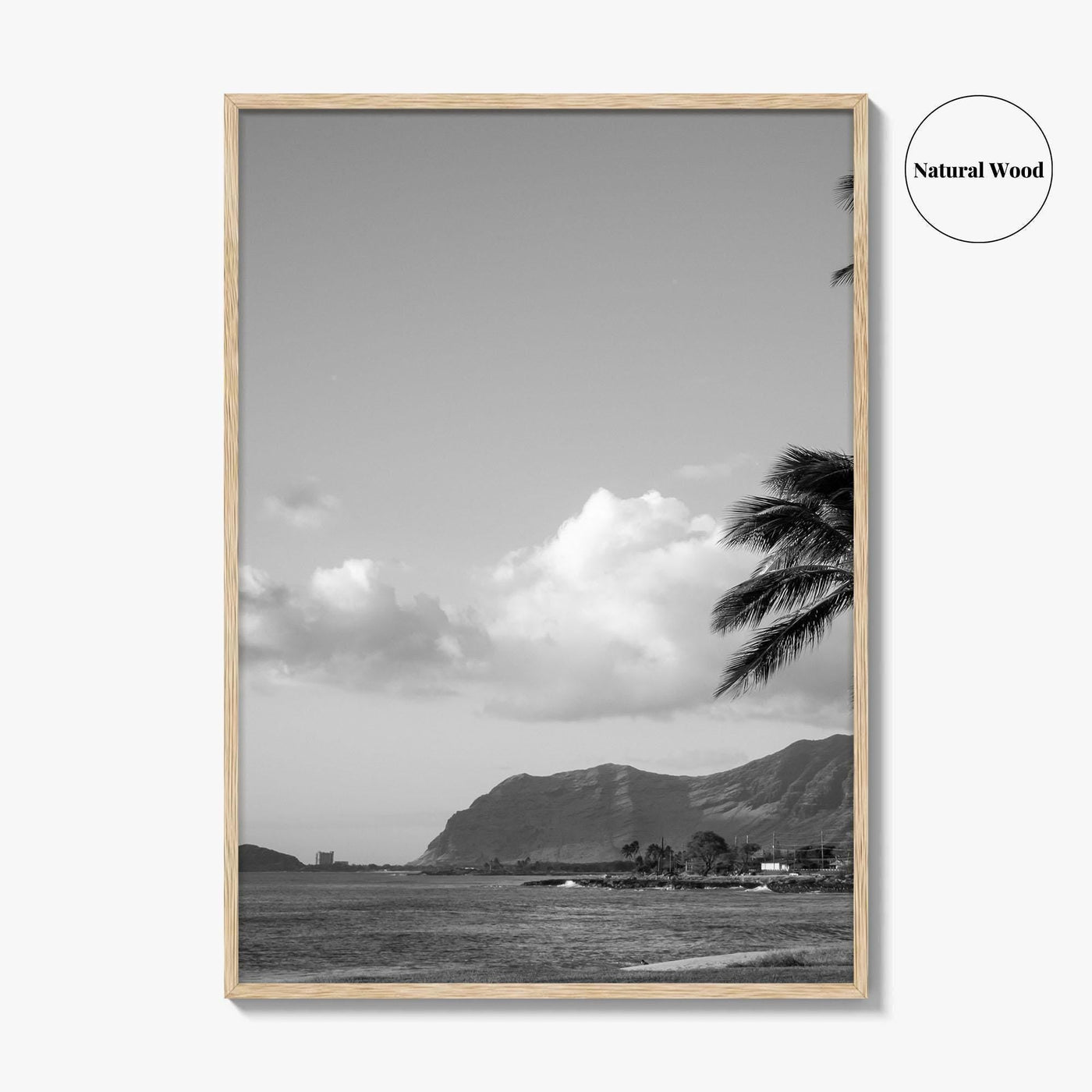 Oahu Black and White Fine Art Photo Print, Hawaii Coast Palm Trees, Wall Poster