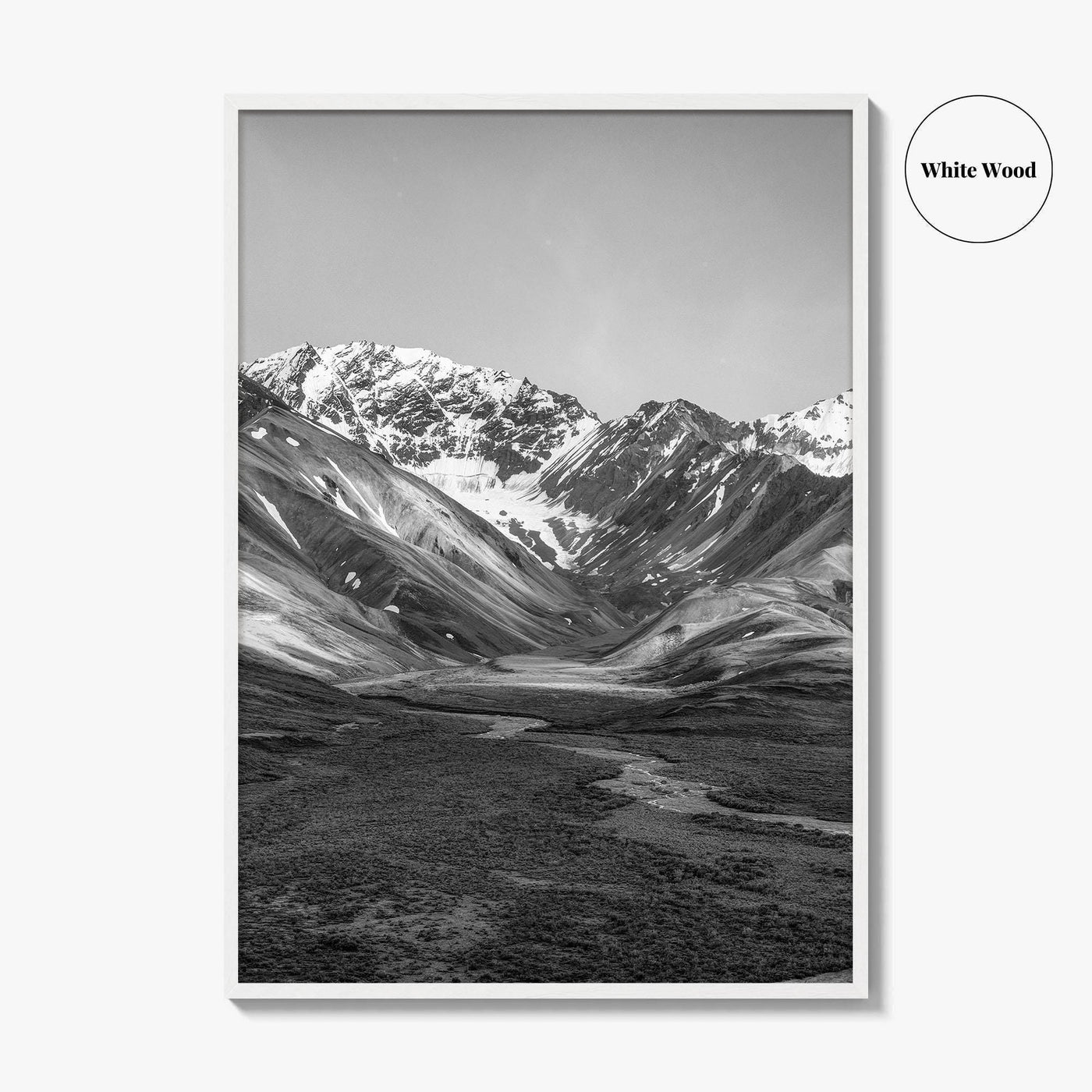 Denali National Park Black and White Fine Art Photo Print, Alaska, USA Poster