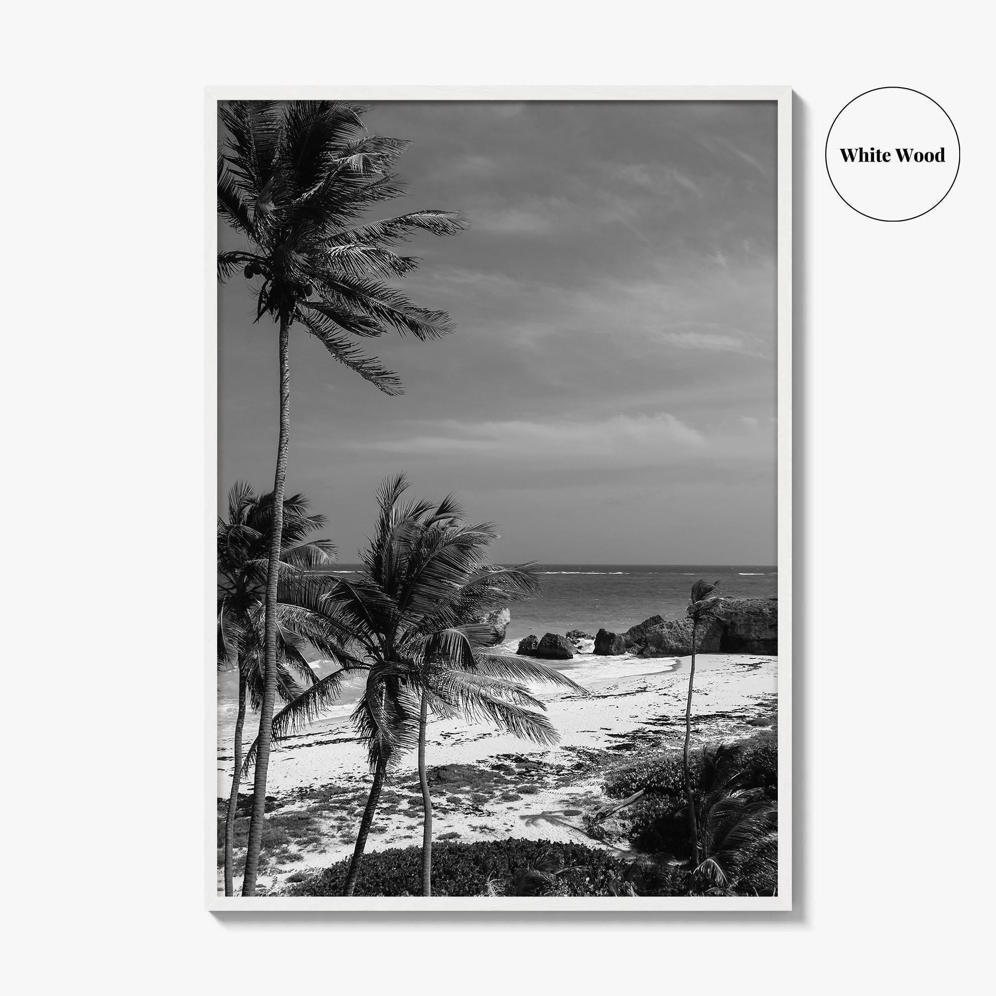 Barbados Black and White Fine Art Photo Print, Caribbean Beach Landscape Poster