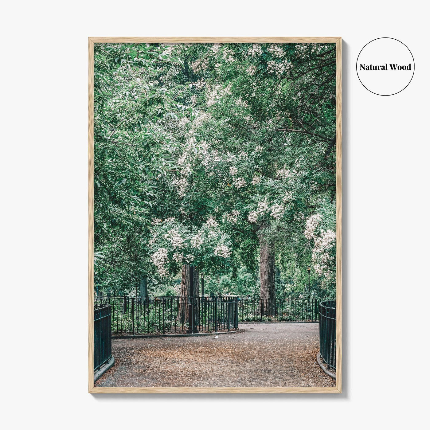 Tompkins Square Park Fine Art Photo Print, East Village NYC, Manhattan Poster, USA