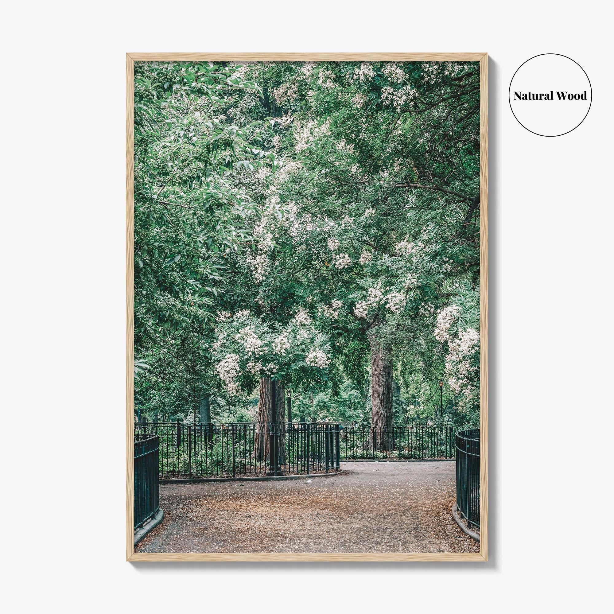 Tompkins Square Park Fine Art Photo Print, East Village NYC, Manhattan Poster, USA