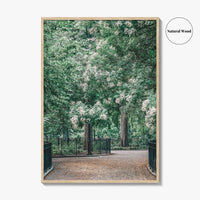 Tompkins Square Park Fine Art Photo Print, East Village NYC, Manhattan Poster, USA