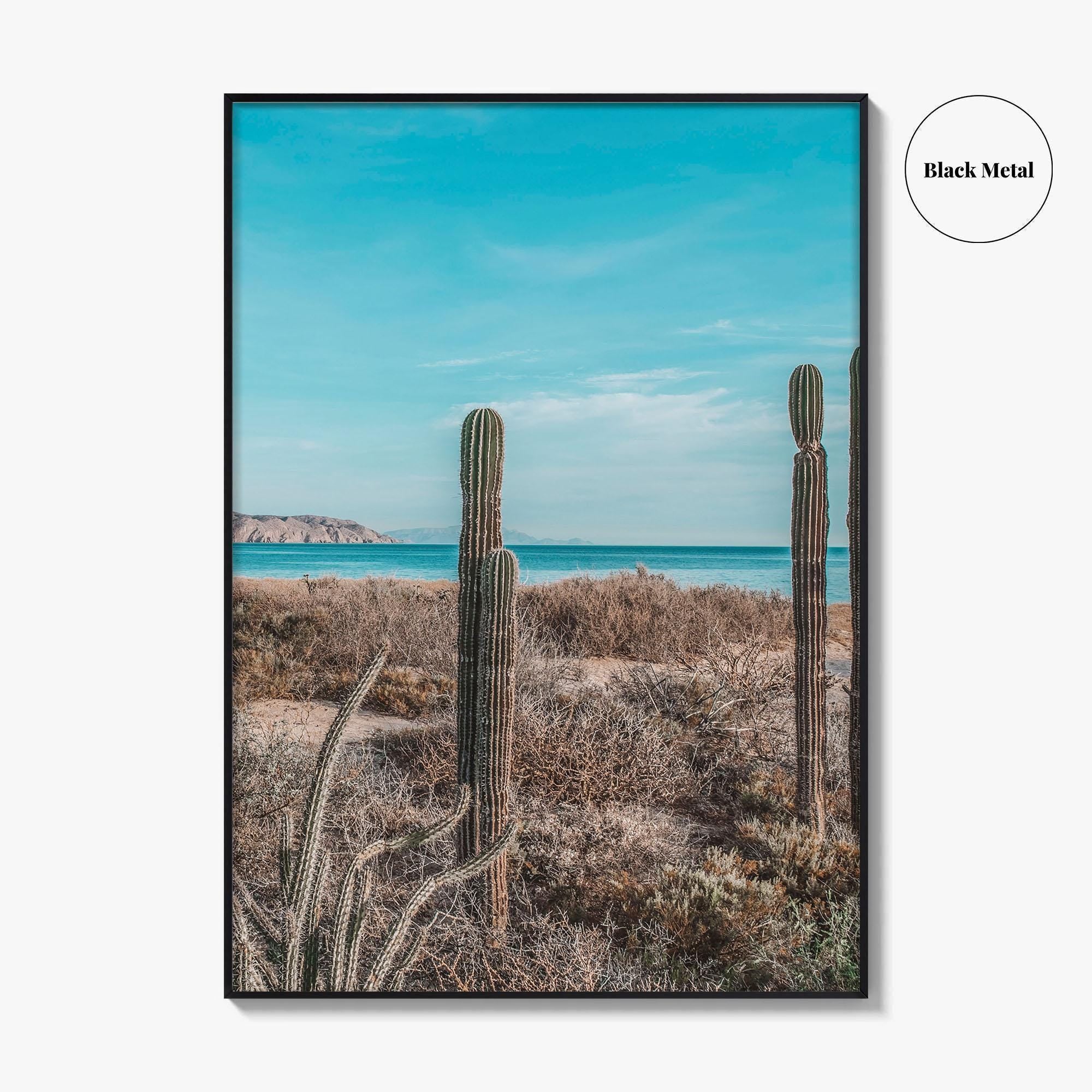 La Paz Fine Art Photo Print, Baja California Sur, Sea of Cortez Mexico Poster