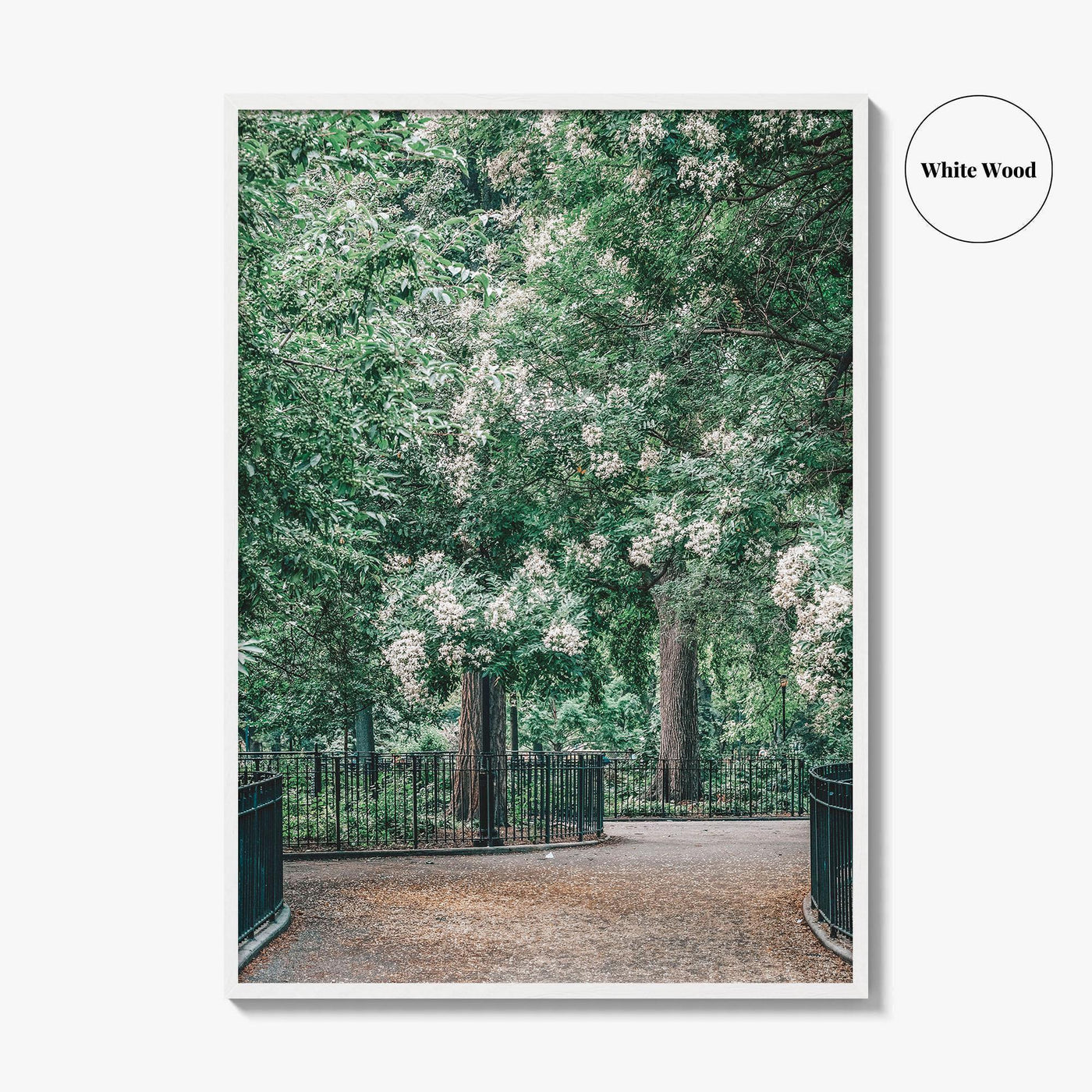 Tompkins Square Park Fine Art Photo Print, East Village NYC, Manhattan Poster, USA