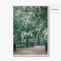 Tompkins Square Park Fine Art Photo Print, East Village NYC, Manhattan Poster, USA