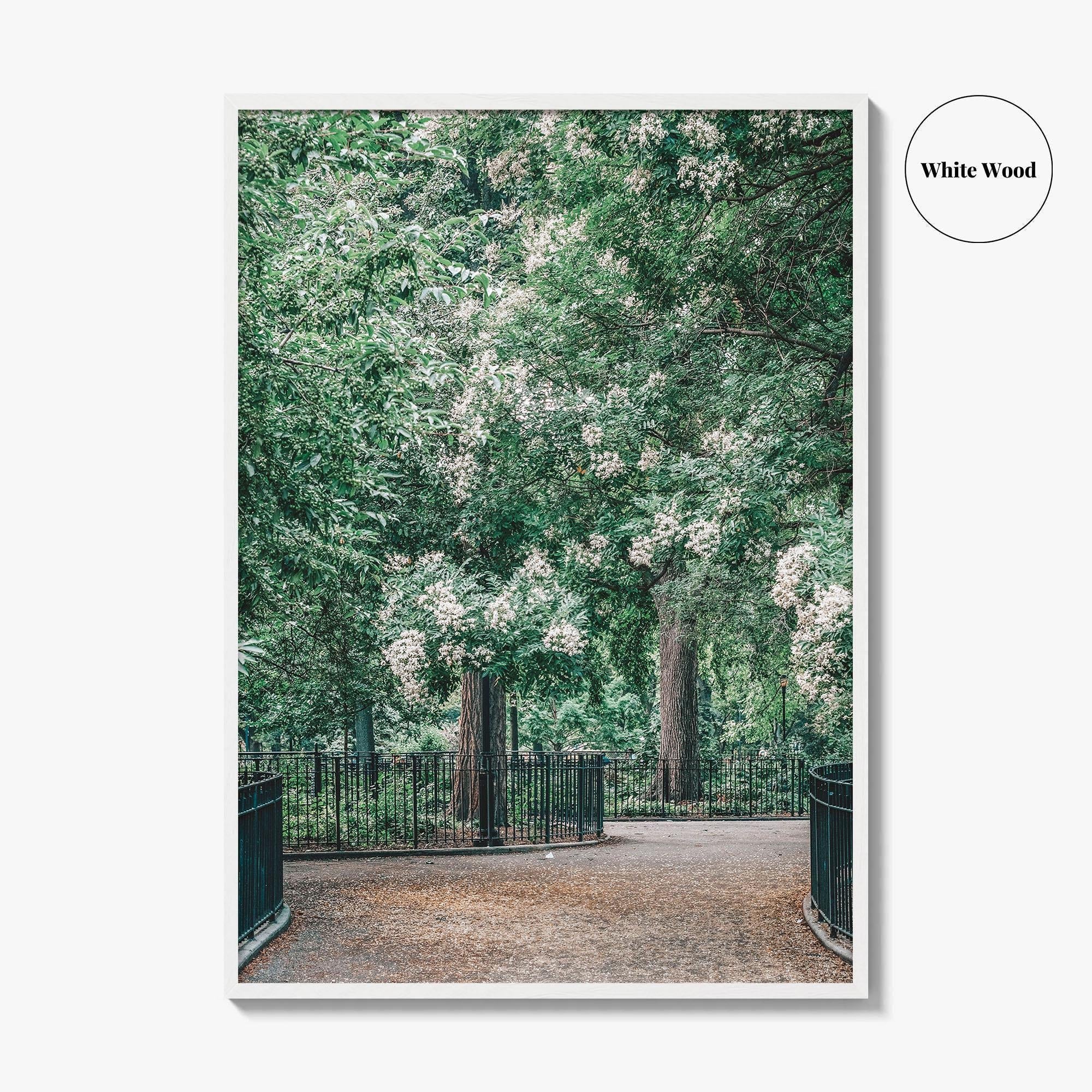 Tompkins Square Park Fine Art Photo Print, East Village NYC, Manhattan Poster, USA