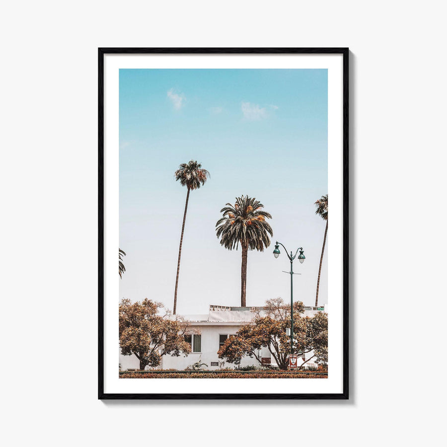 Los Angeles Blue Fine Art Photo Print, California Wall Poster, LA Palm Trees, USA