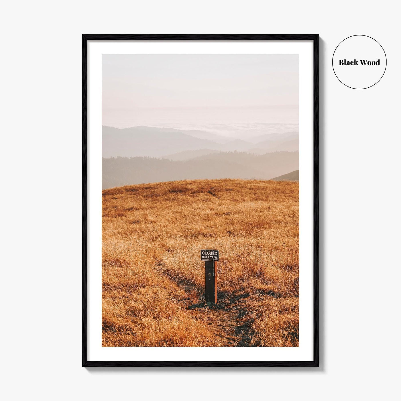 Borel Hill Fine Art Photo Print, Santa Cruz Mountains California USA, Mountain View, Poster