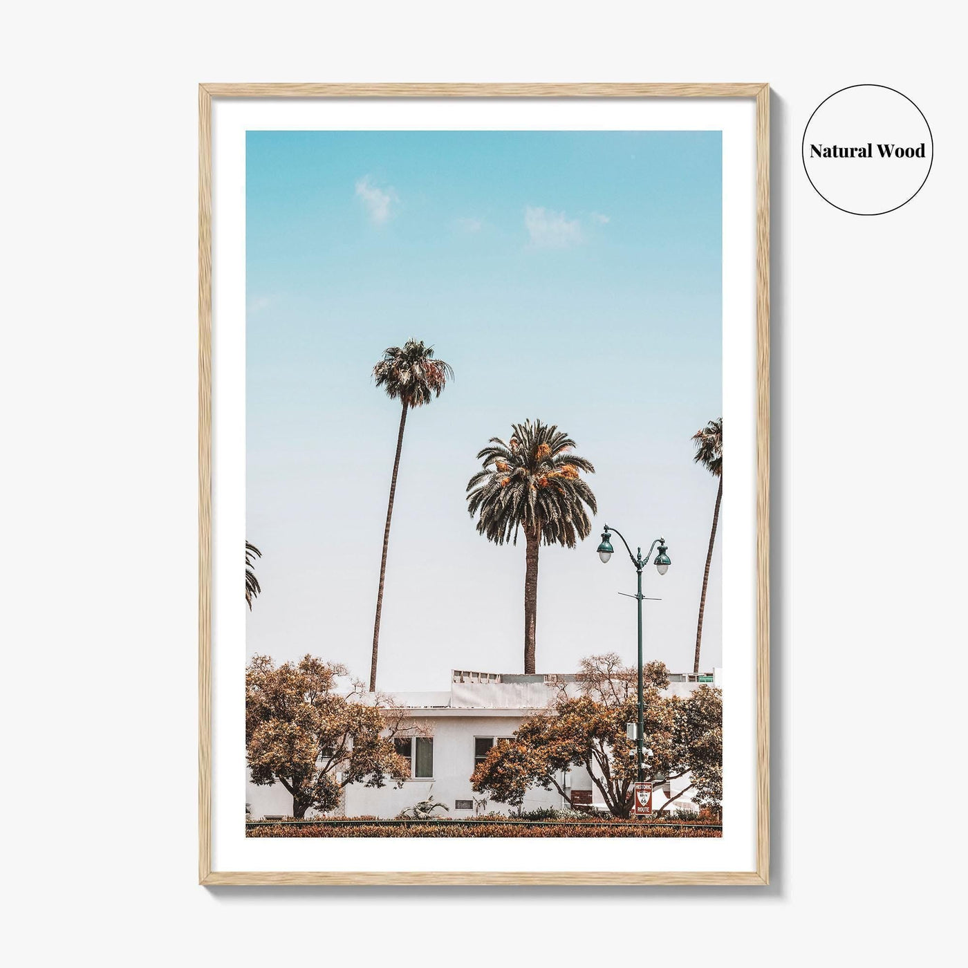 Los Angeles Blue Fine Art Photo Print, California Wall Poster, LA Palm Trees, USA