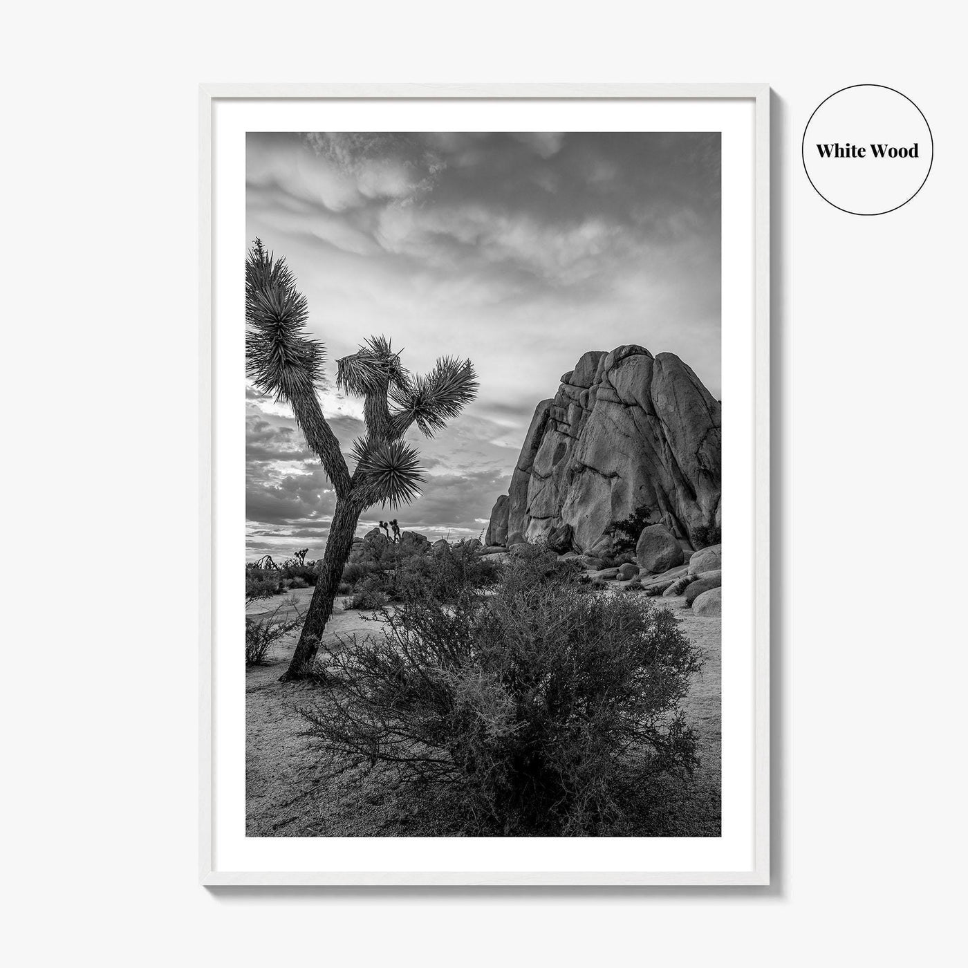 Joshua Tree Black and White Fine Art Photo Print, California Desert Poster