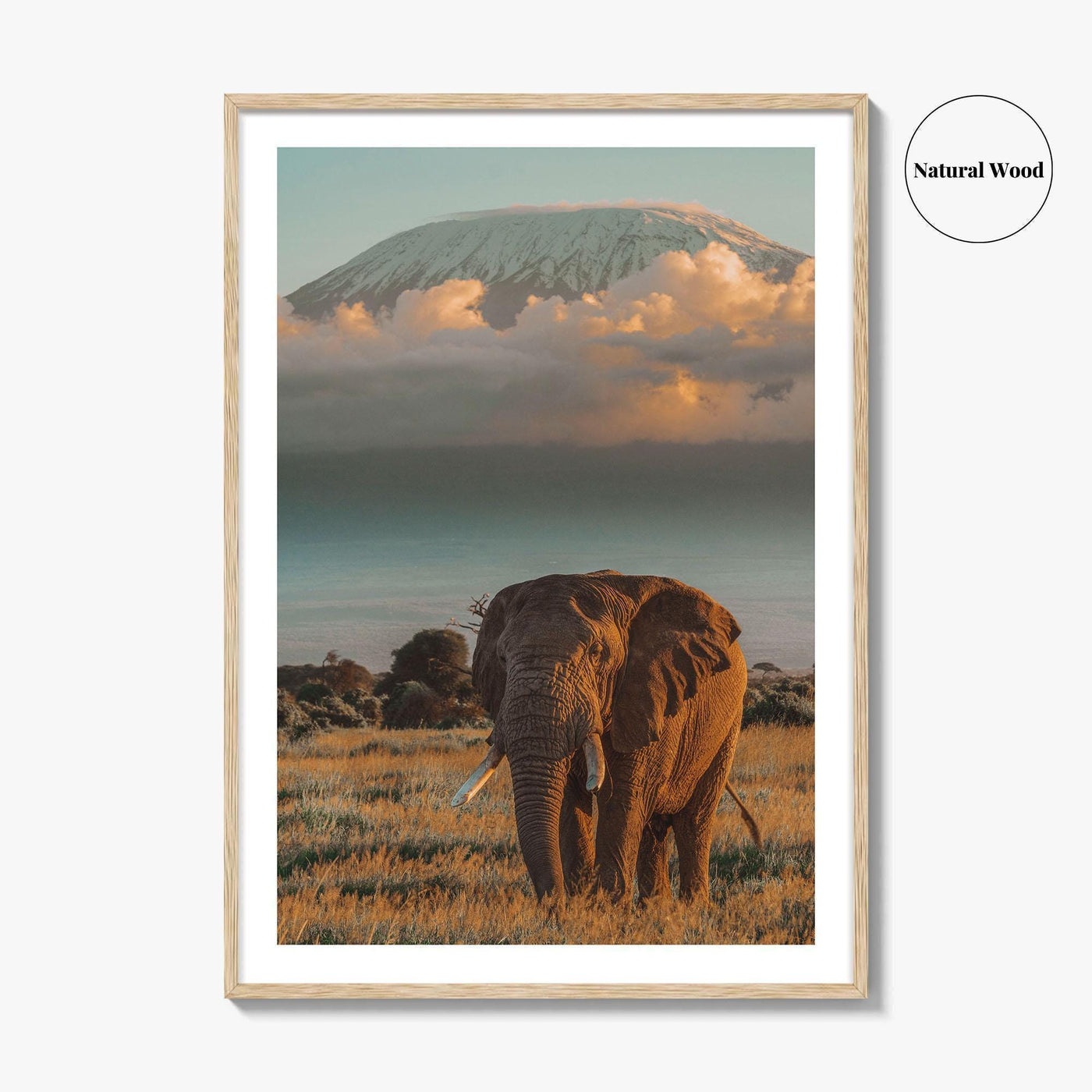 Mount Kilimanjaro Fine Art Photo Print, Elephant, Tanzania, Africa, Wildlife Poster