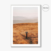 Borel Hill Fine Art Photo Print, Santa Cruz Mountains California USA, Mountain View, Poster