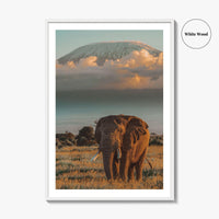 Mount Kilimanjaro Fine Art Photo Print, Elephant, Tanzania, Africa, Wildlife Poster