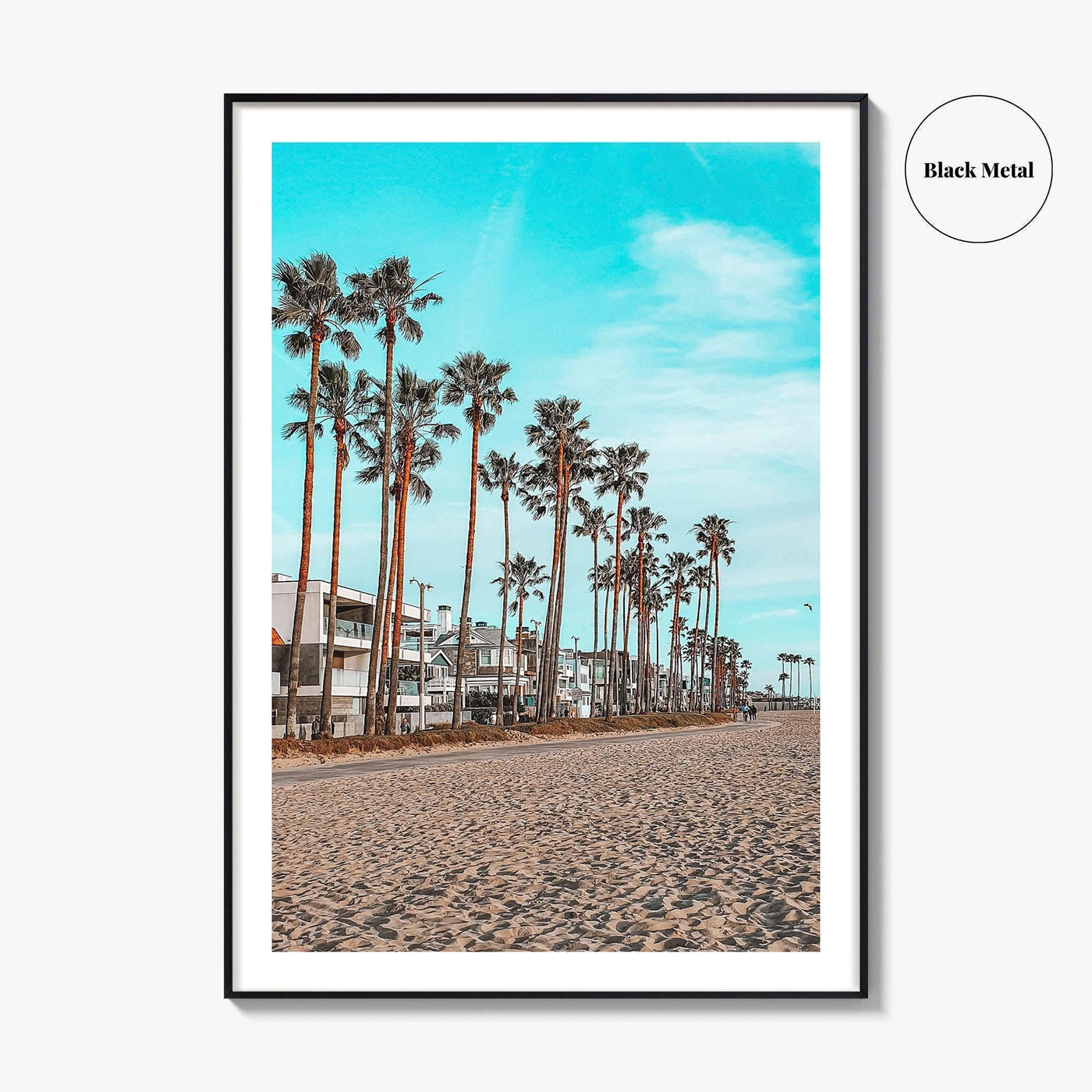 Venice Beach Fine Art Photo Print, Los Angeles California Wall Decor, Palm Tree