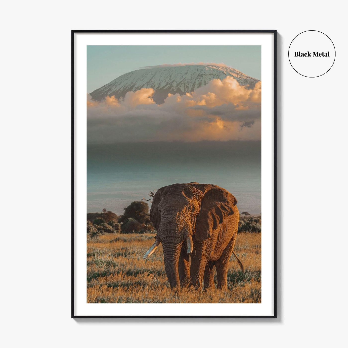 Mount Kilimanjaro Fine Art Photo Print, Elephant, Tanzania, Africa, Wildlife Poster