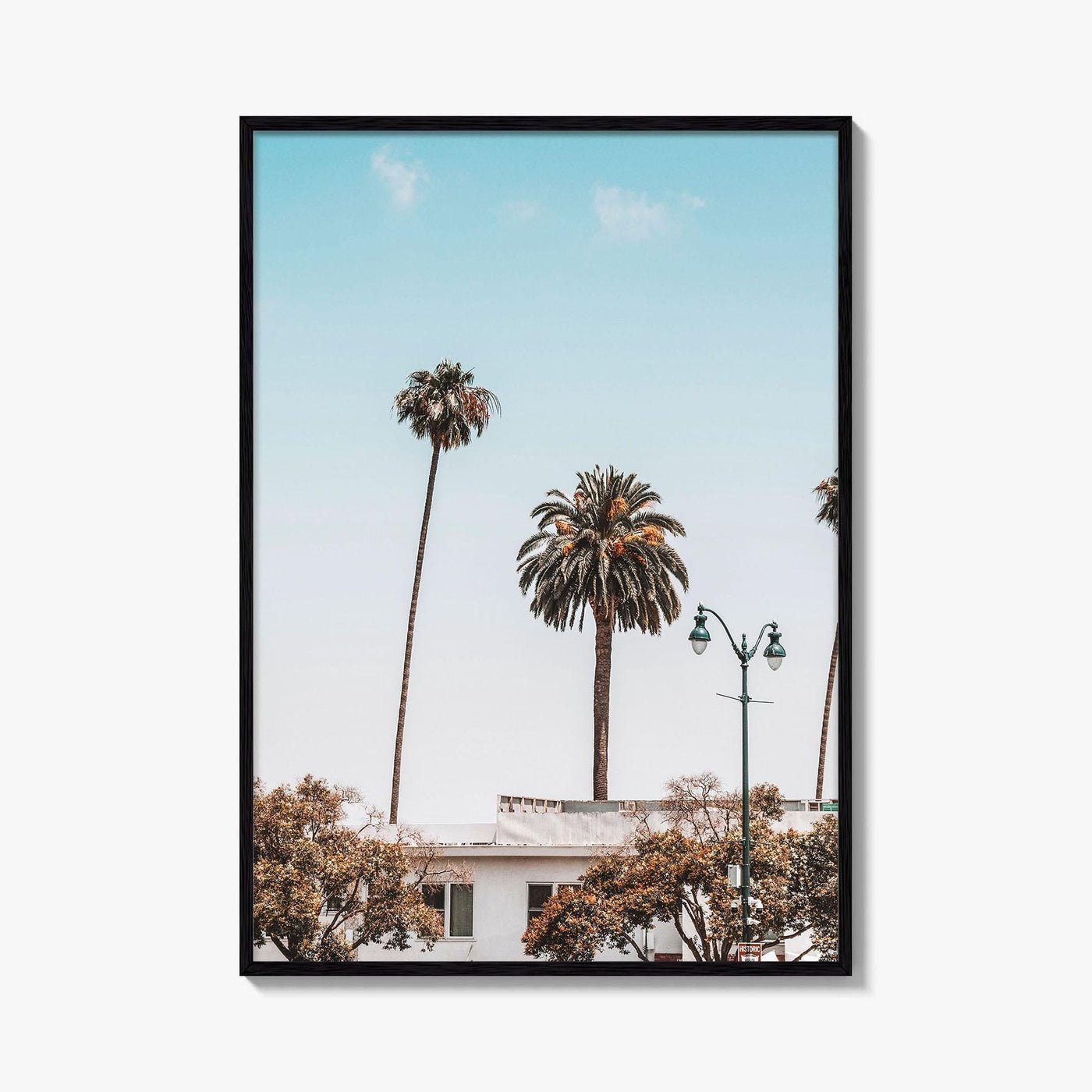 Los Angeles Blue Fine Art Photo Print, California Wall Poster, LA Palm Trees, USA