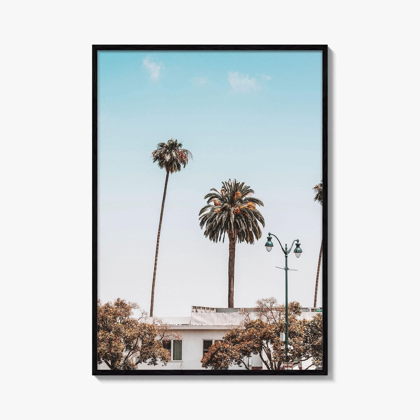 Los Angeles Blue Fine Art Photo Print, California Wall Poster, LA Palm Trees, USA