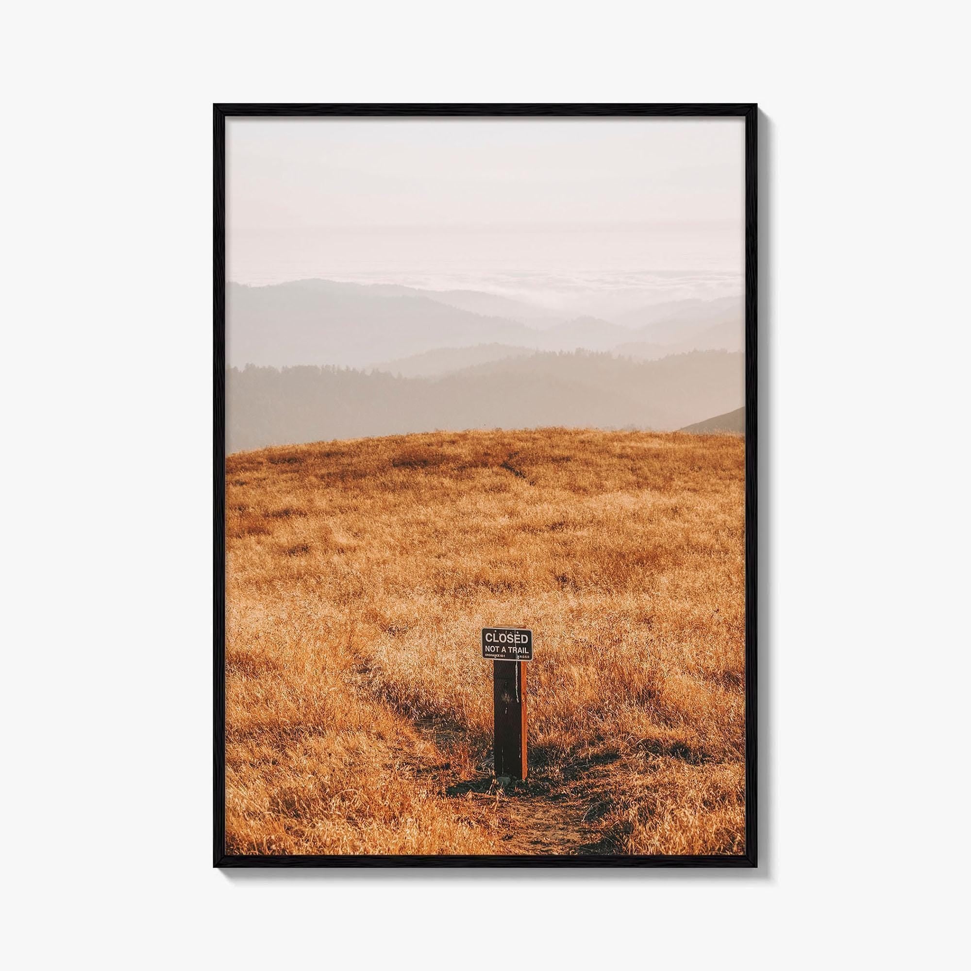 Borel Hill Fine Art Photo Print, Santa Cruz Mountains California USA, Mountain View, Poster