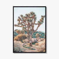 Joshua Tree National Park Fine Art Photo Print, California Desert Poster, Palm Springs