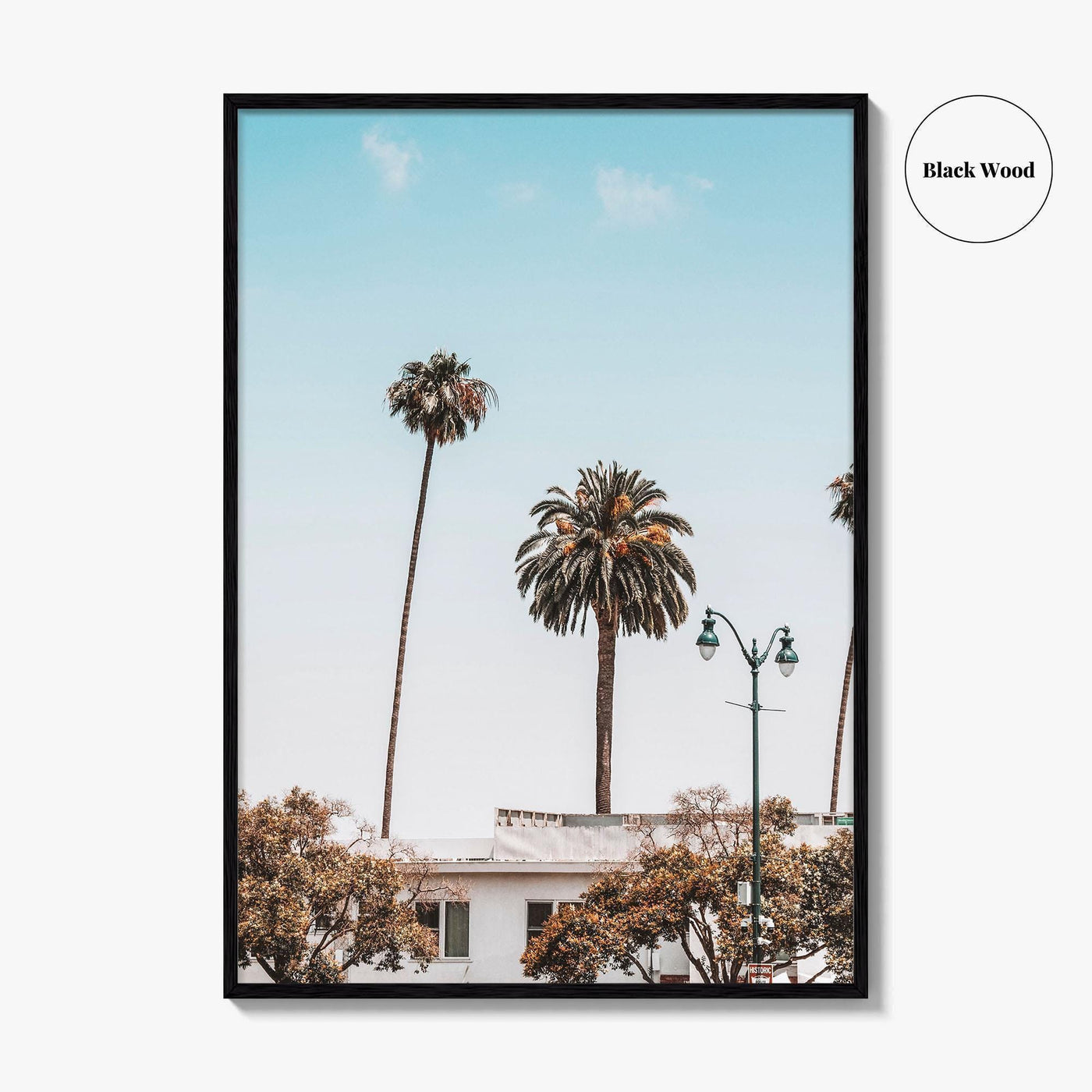 Los Angeles Blue Fine Art Photo Print, California Wall Poster, LA Palm Trees, USA