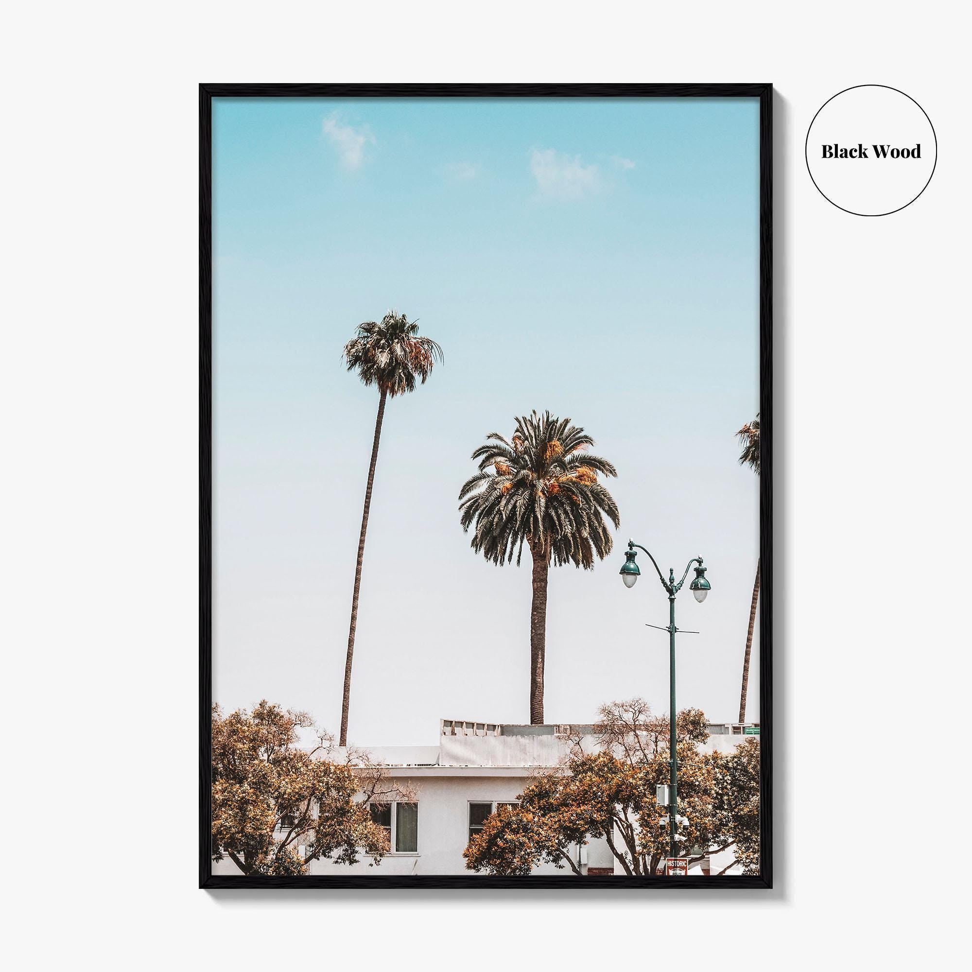 Los Angeles Blue Fine Art Photo Print, California Wall Poster, LA Palm Trees, USA