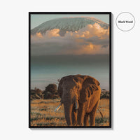 Mount Kilimanjaro Fine Art Photo Print, Elephant, Tanzania, Africa, Wildlife Poster