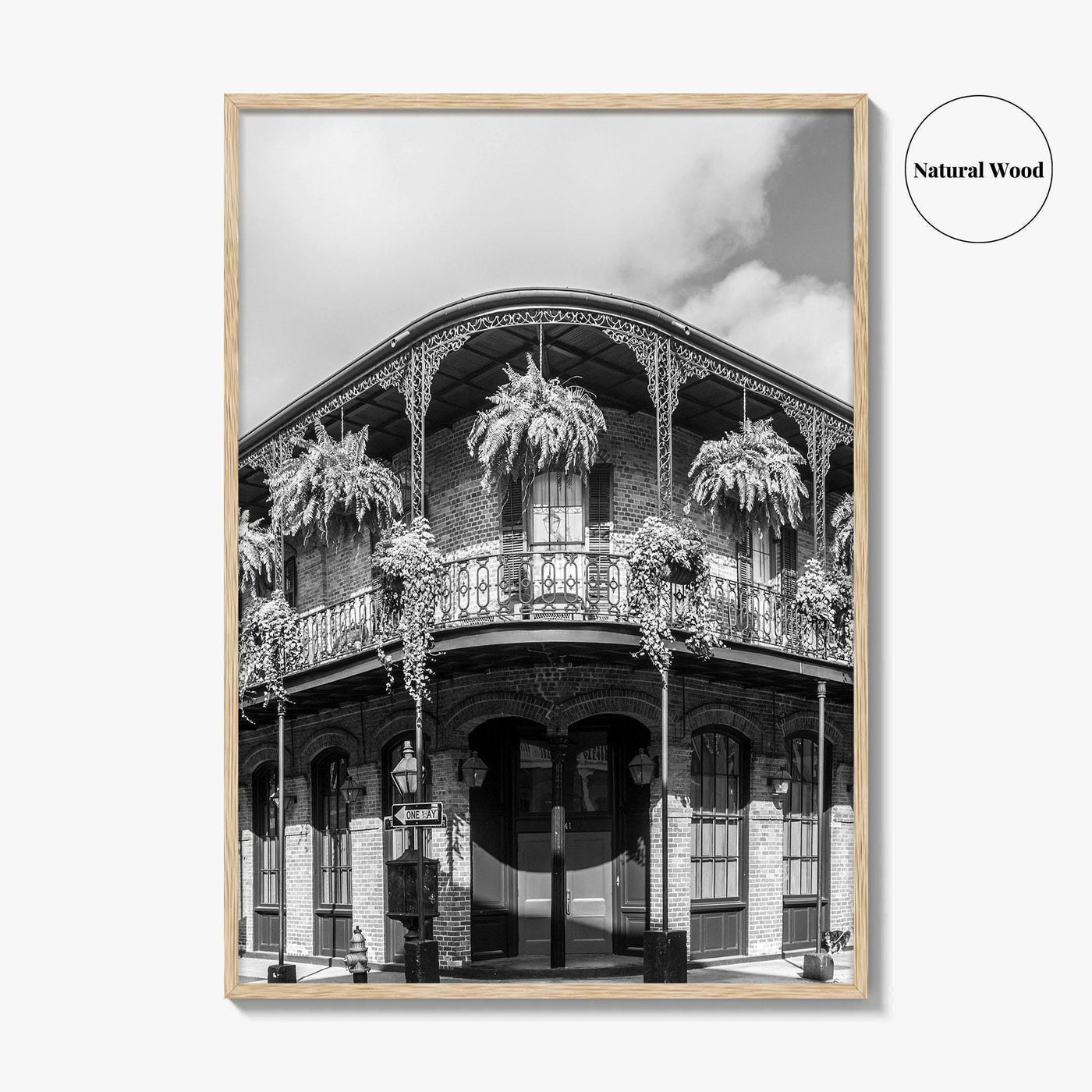 New Orleans Black and White Fine Art Photo Print, French Quarter Louisiana Poster