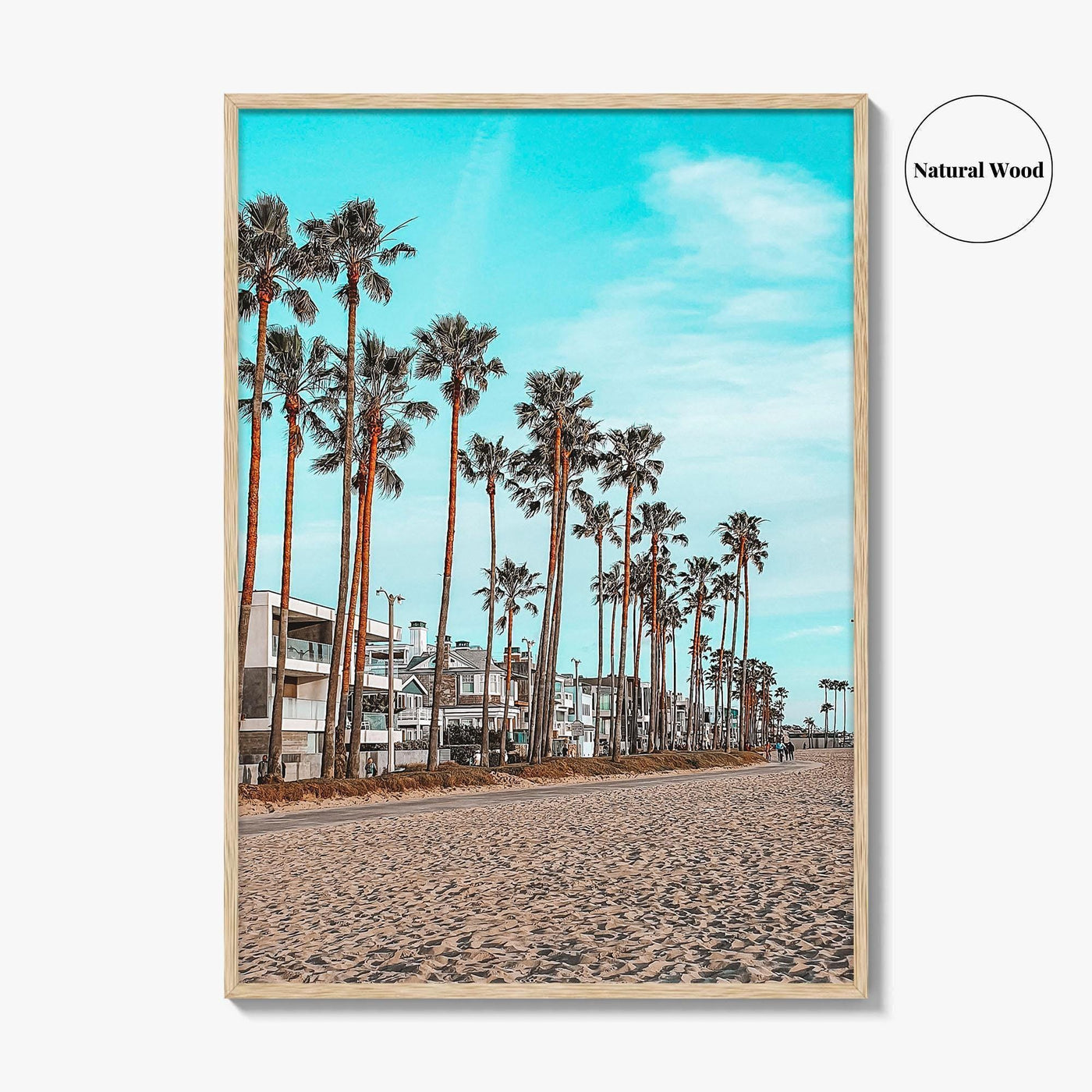 Venice Beach Fine Art Photo Print, Los Angeles California Wall Decor, Palm Tree