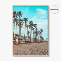 Venice Beach Fine Art Photo Print, Los Angeles California Wall Decor, Palm Tree
