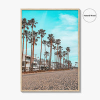 Venice Beach Fine Art Photo Print, Los Angeles California Wall Decor, Palm Tree