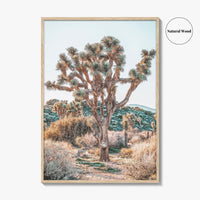 Joshua Tree National Park Fine Art Photo Print, California Desert Poster, Palm Springs