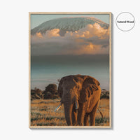 Mount Kilimanjaro Fine Art Photo Print, Elephant, Tanzania, Africa, Wildlife Poster