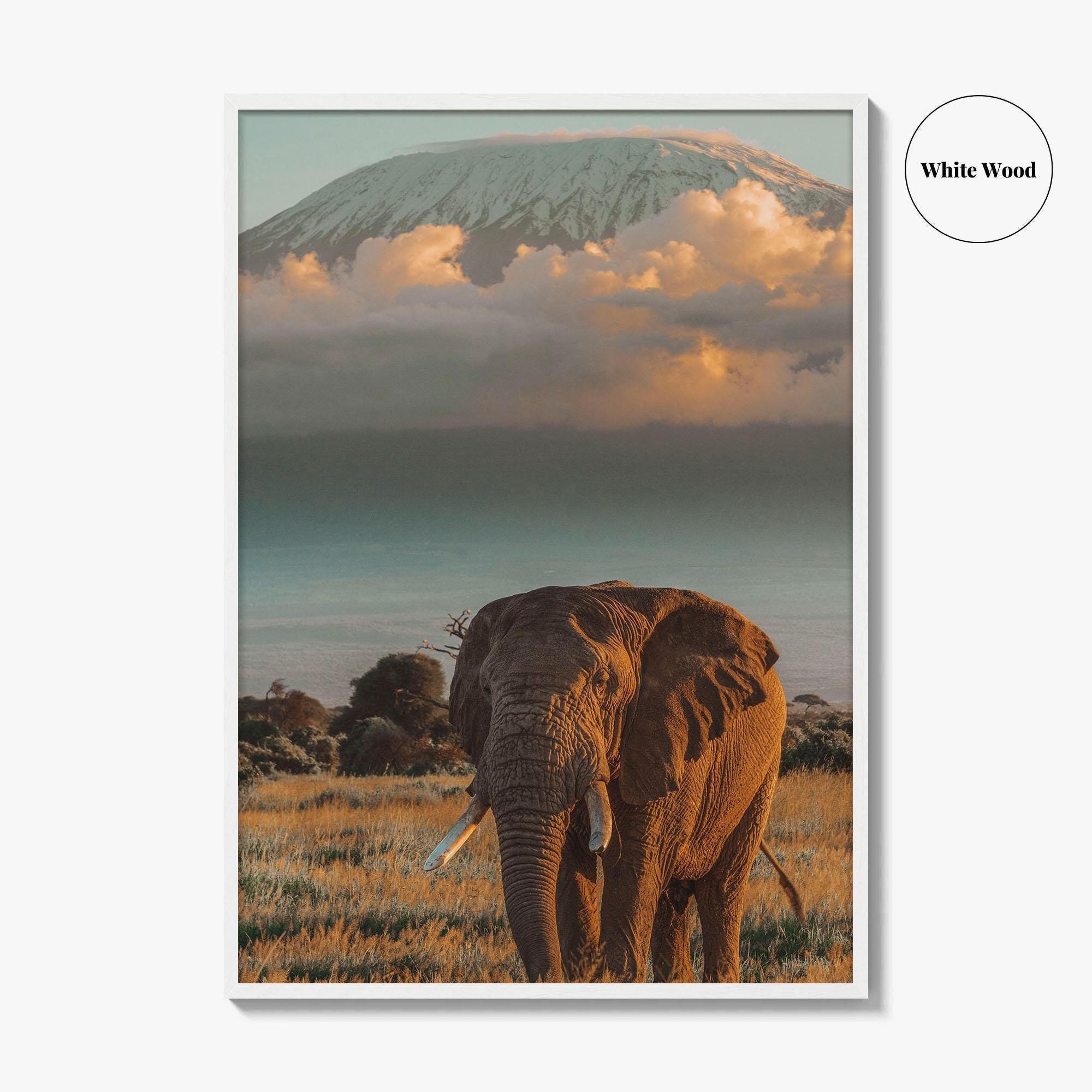 Mount Kilimanjaro Fine Art Photo Print, Elephant, Tanzania, Africa, Wildlife Poster