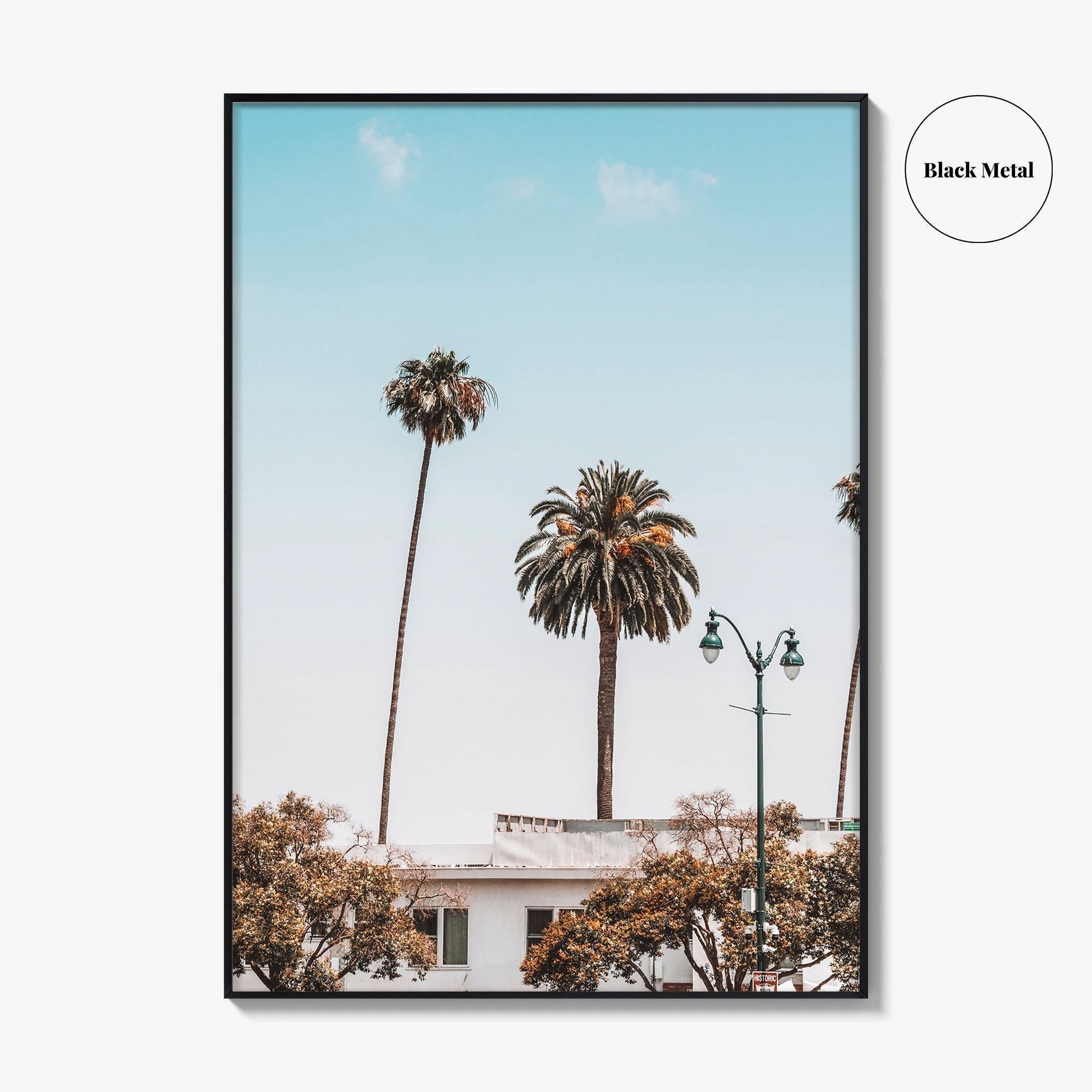 Los Angeles Blue Fine Art Photo Print, California Wall Poster, LA Palm Trees, USA