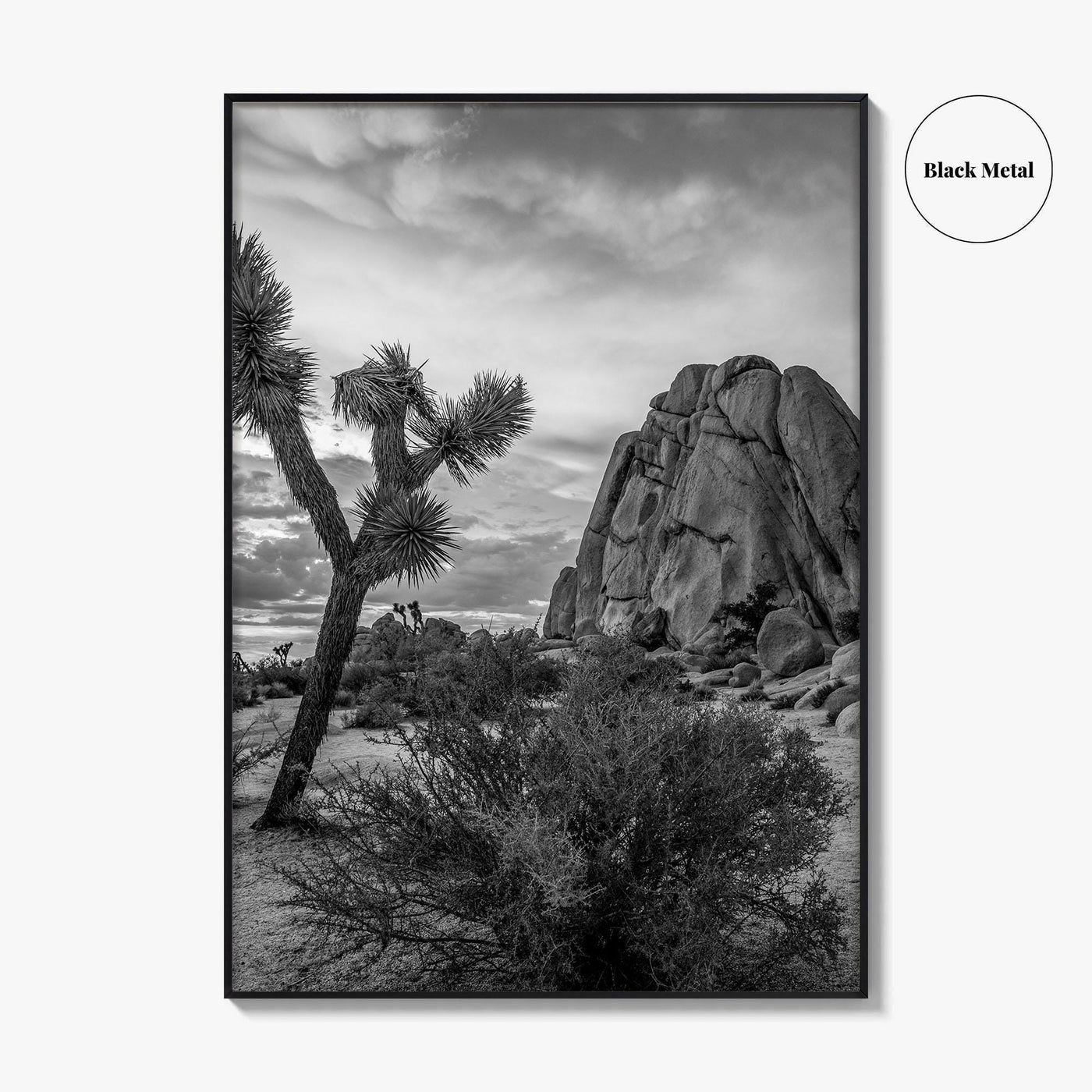 Joshua Tree Black and White Fine Art Photo Print, California Desert Poster