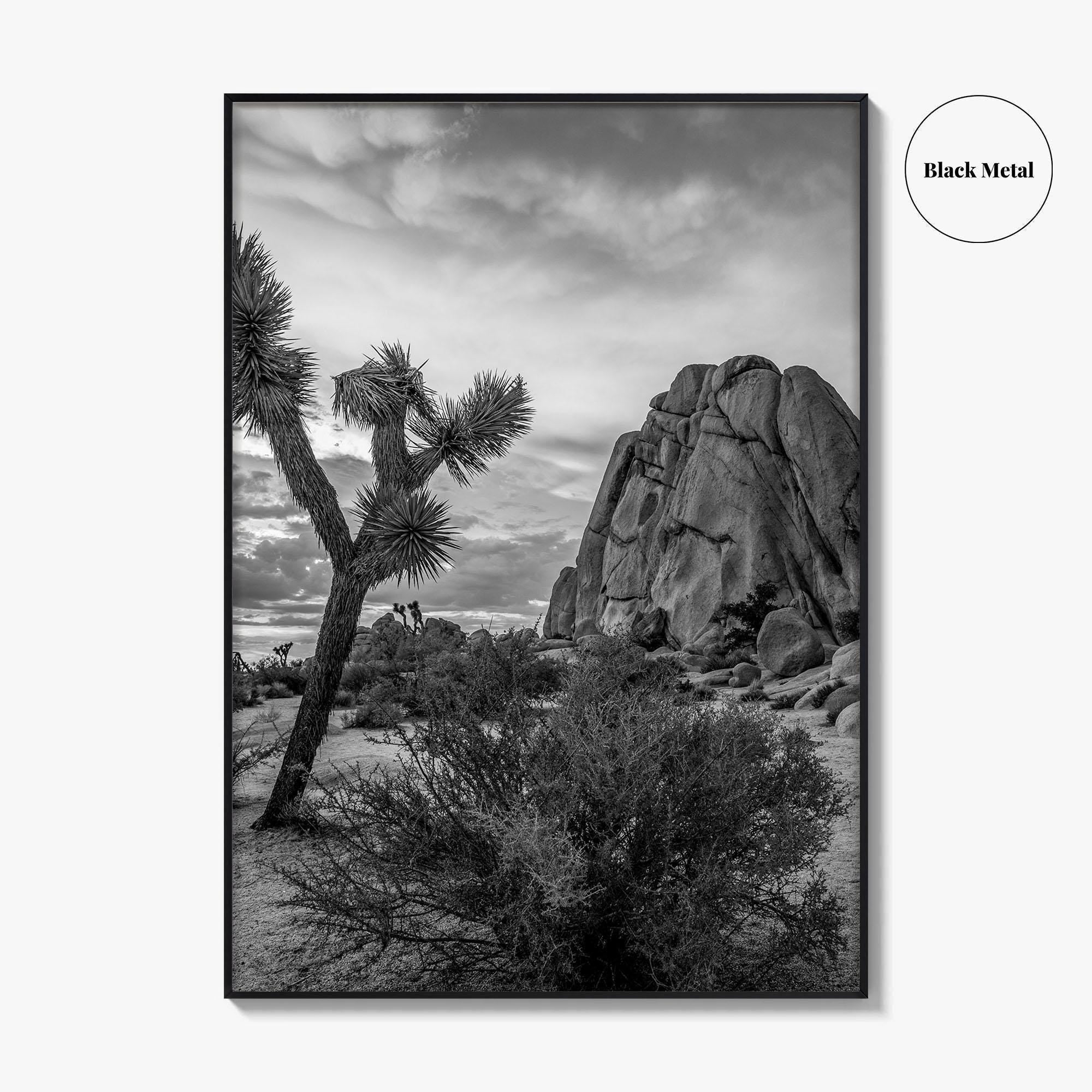 Joshua Tree Black and White Fine Art Photo Print, California Desert Poster