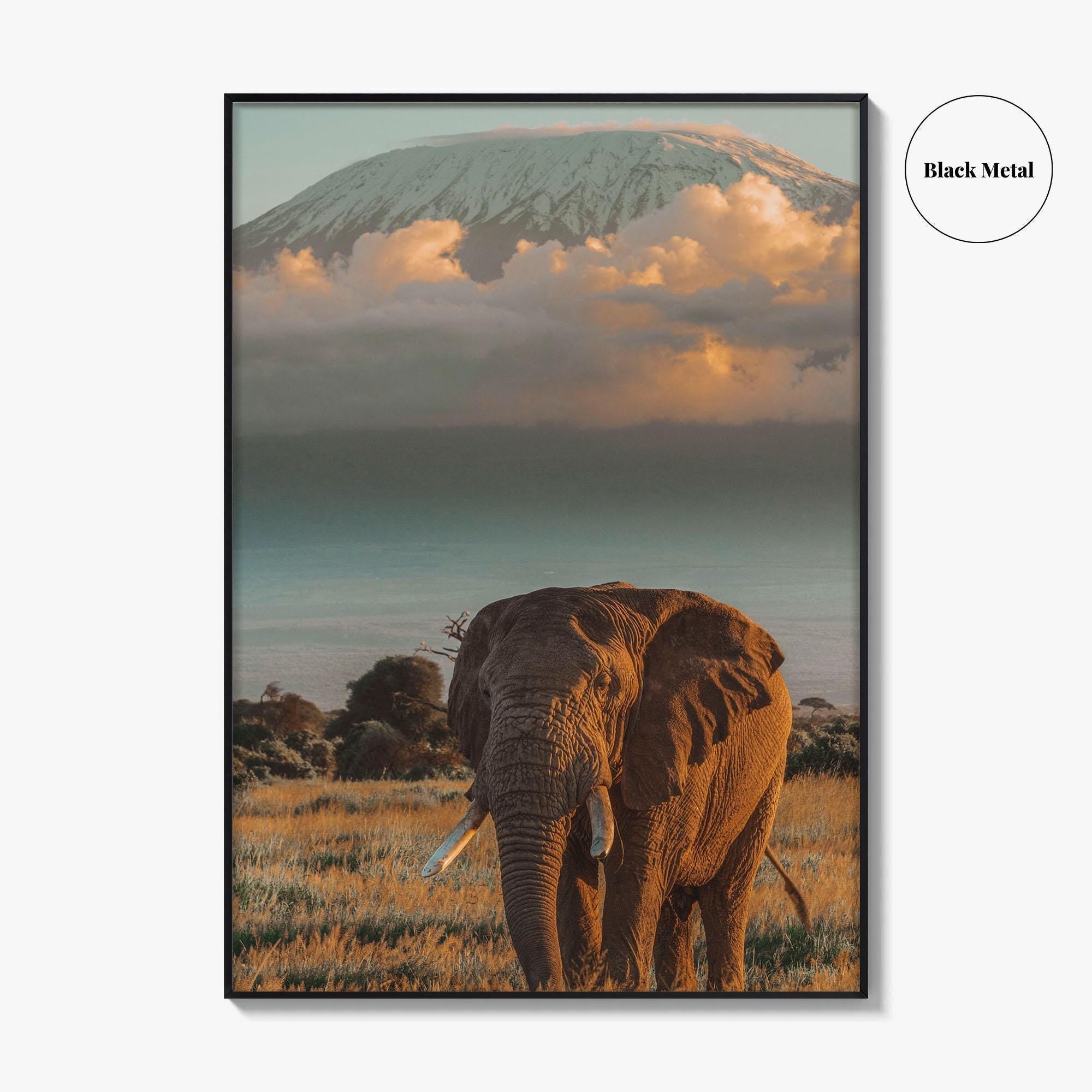 Mount Kilimanjaro Fine Art Photo Print, Elephant, Tanzania, Africa, Wildlife Poster