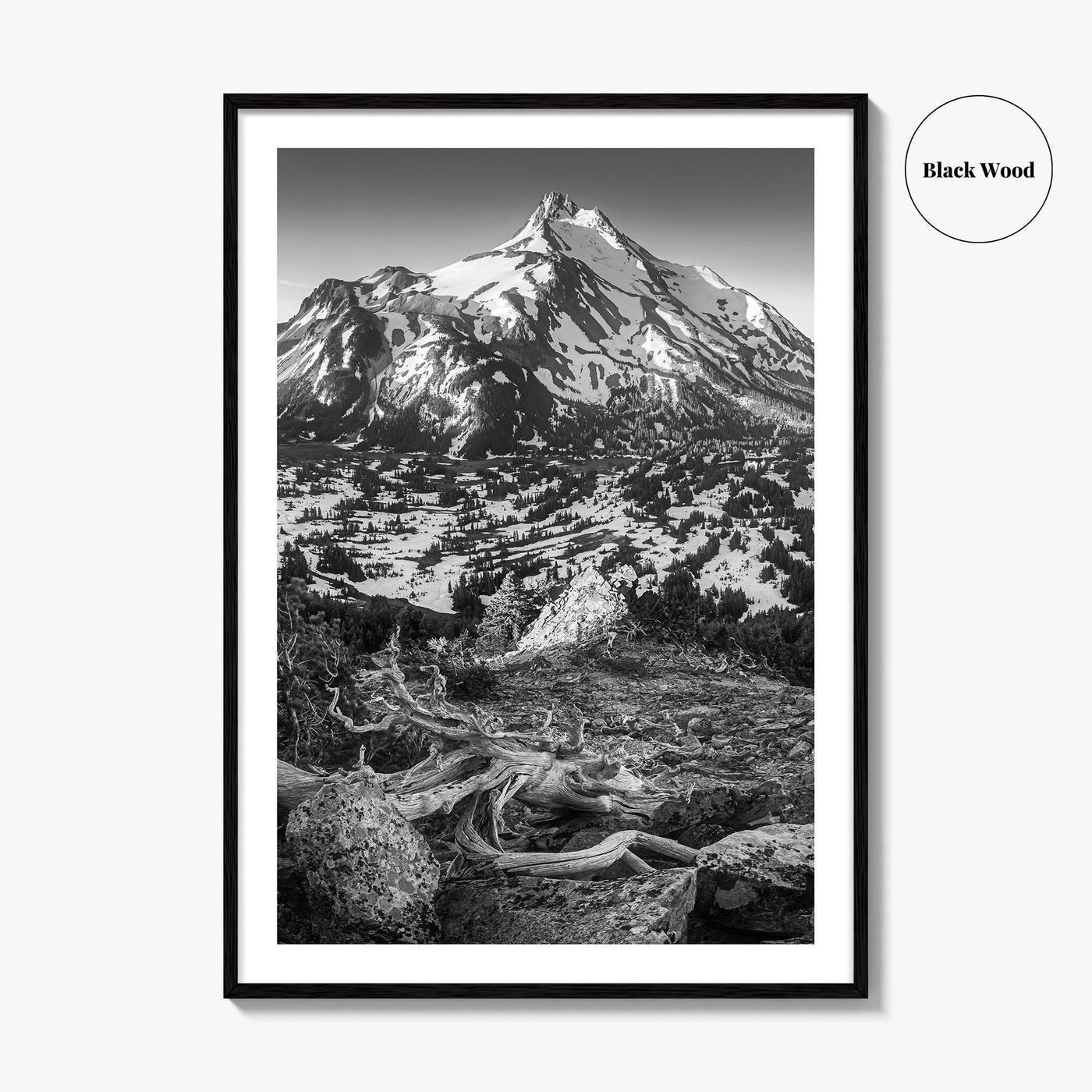 Mount Jefferson Black and White Fine Art Photo Print, Oregon Poster, USA Wall Decor