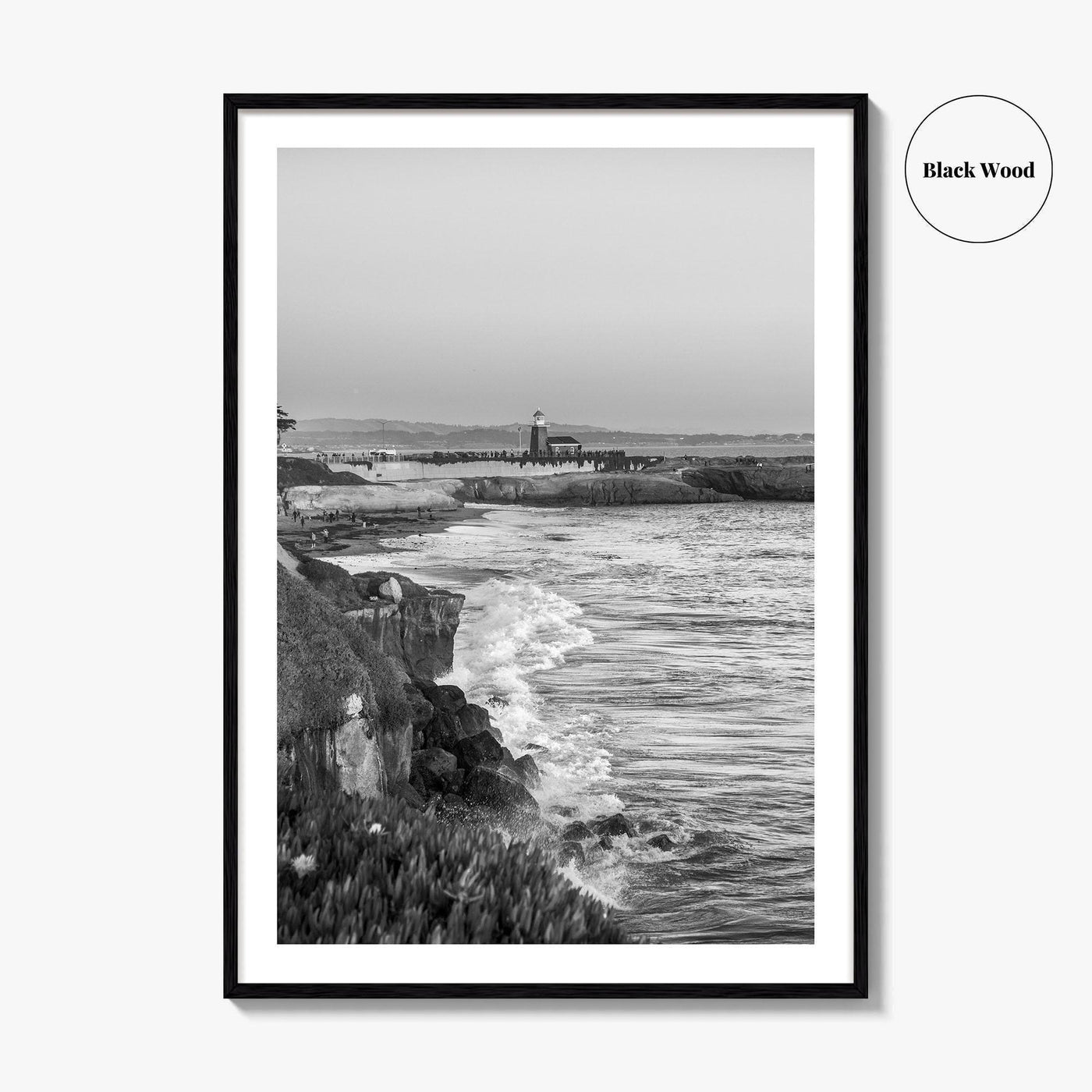 Santa Cruz Black and White Fine Art Photo Print, Surfing California Poster