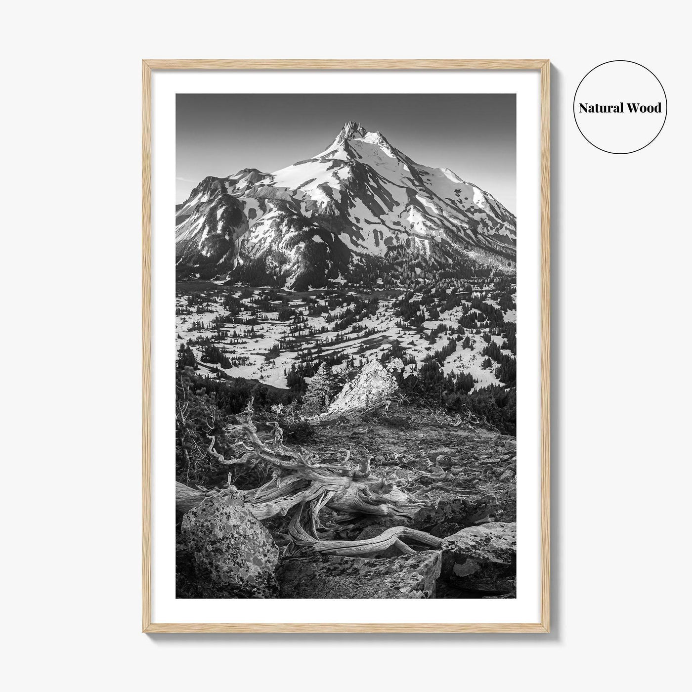 Mount Jefferson Black and White Fine Art Photo Print, Oregon Poster, USA Wall Decor