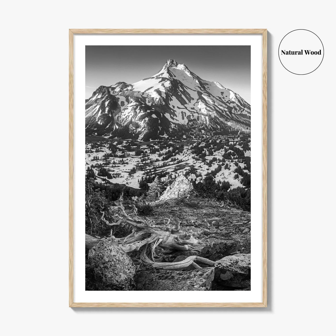 Mount Jefferson Black and White Fine Art Photo Print, Oregon Poster, USA Wall Decor