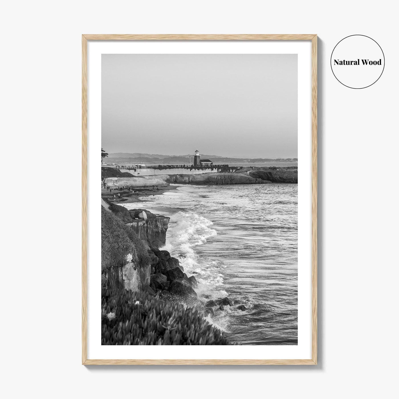 Santa Cruz Black and White Fine Art Photo Print, Surfing California Poster