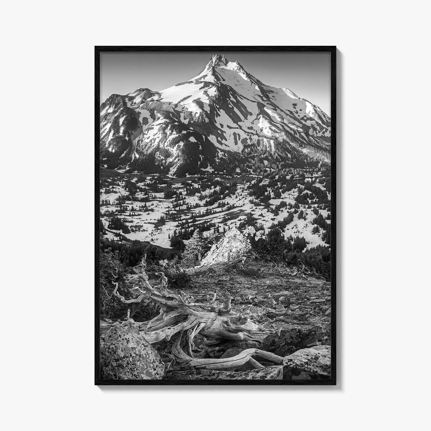 Mount Jefferson Black and White Fine Art Photo Print, Oregon Poster, USA Wall Decor