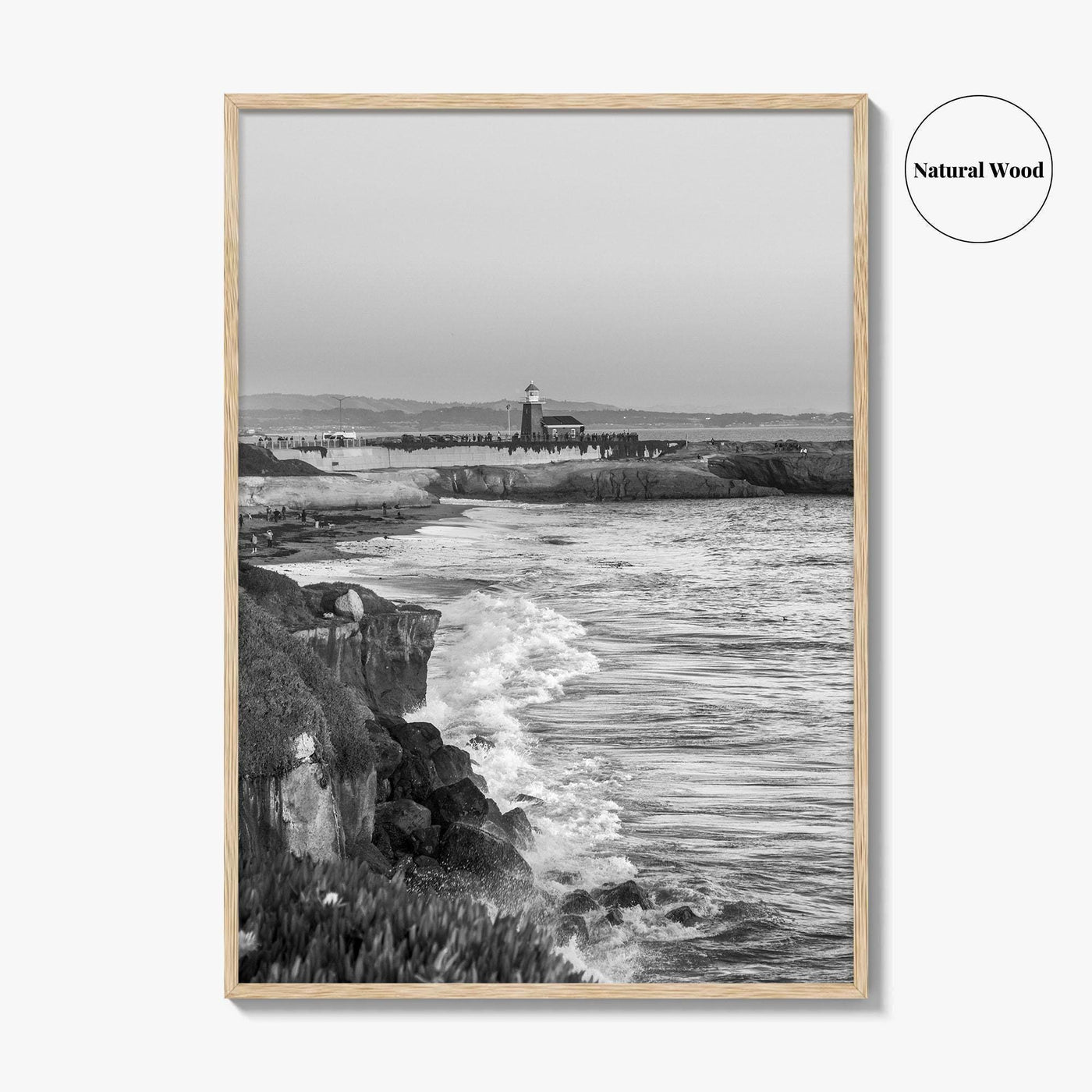 Santa Cruz Black and White Fine Art Photo Print, Surfing California Poster