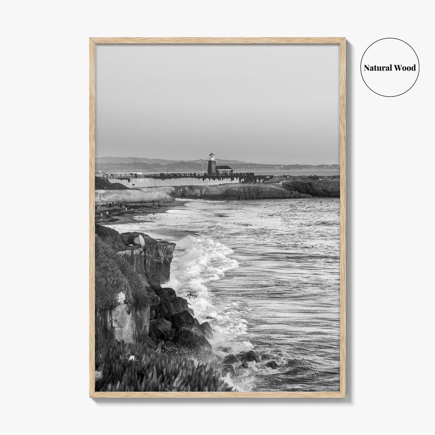 Santa Cruz Black and White Fine Art Photo Print, Surfing California Poster