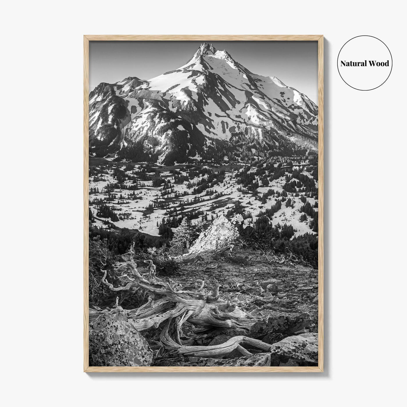 Mount Jefferson Black and White Fine Art Photo Print, Oregon Poster, USA Wall Decor