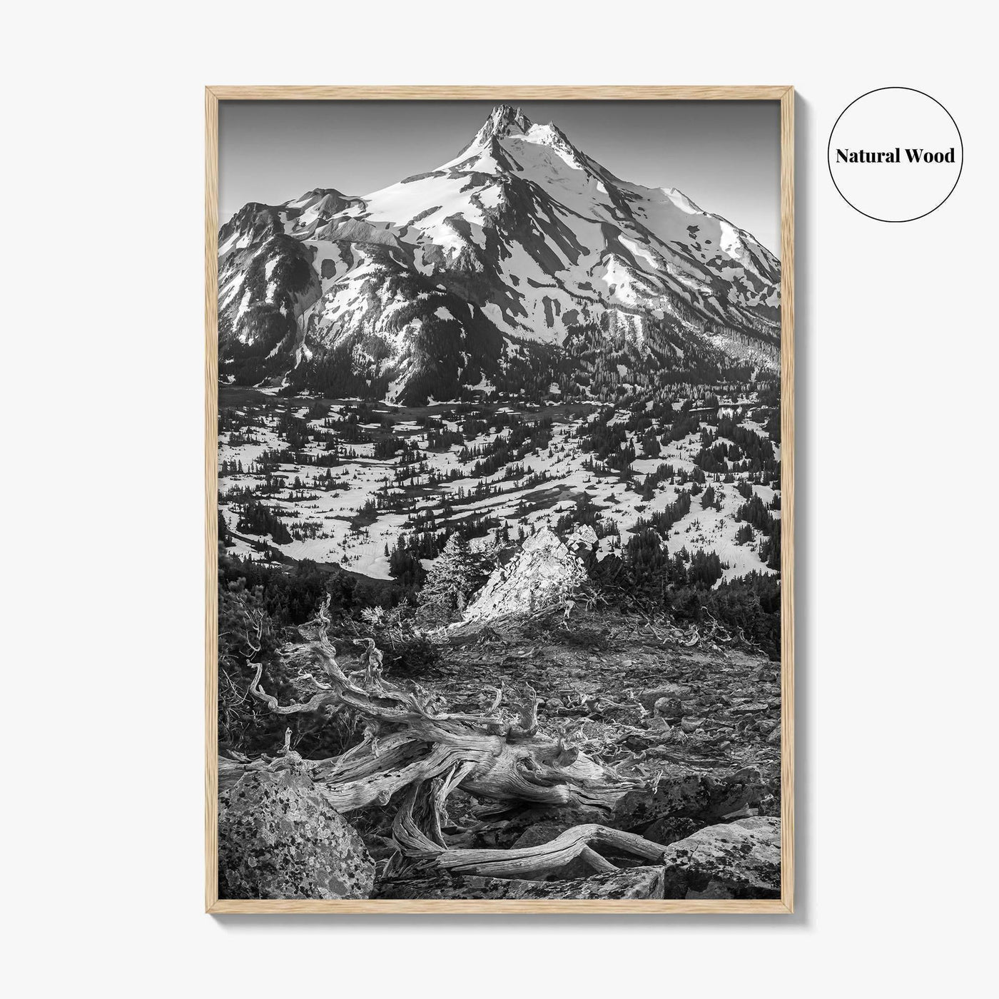 Mount Jefferson Black and White Fine Art Photo Print, Oregon Poster, USA Wall Decor