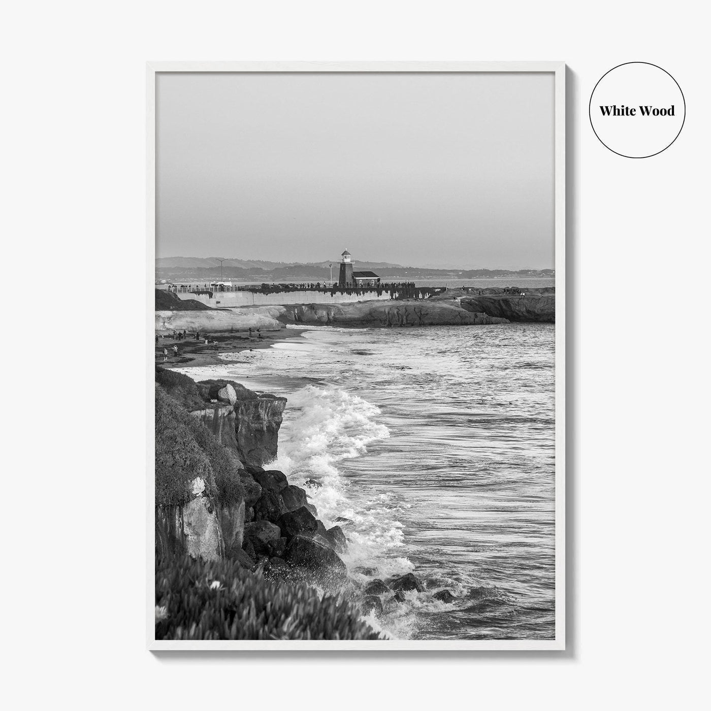 Santa Cruz Black and White Fine Art Photo Print, Surfing California Poster