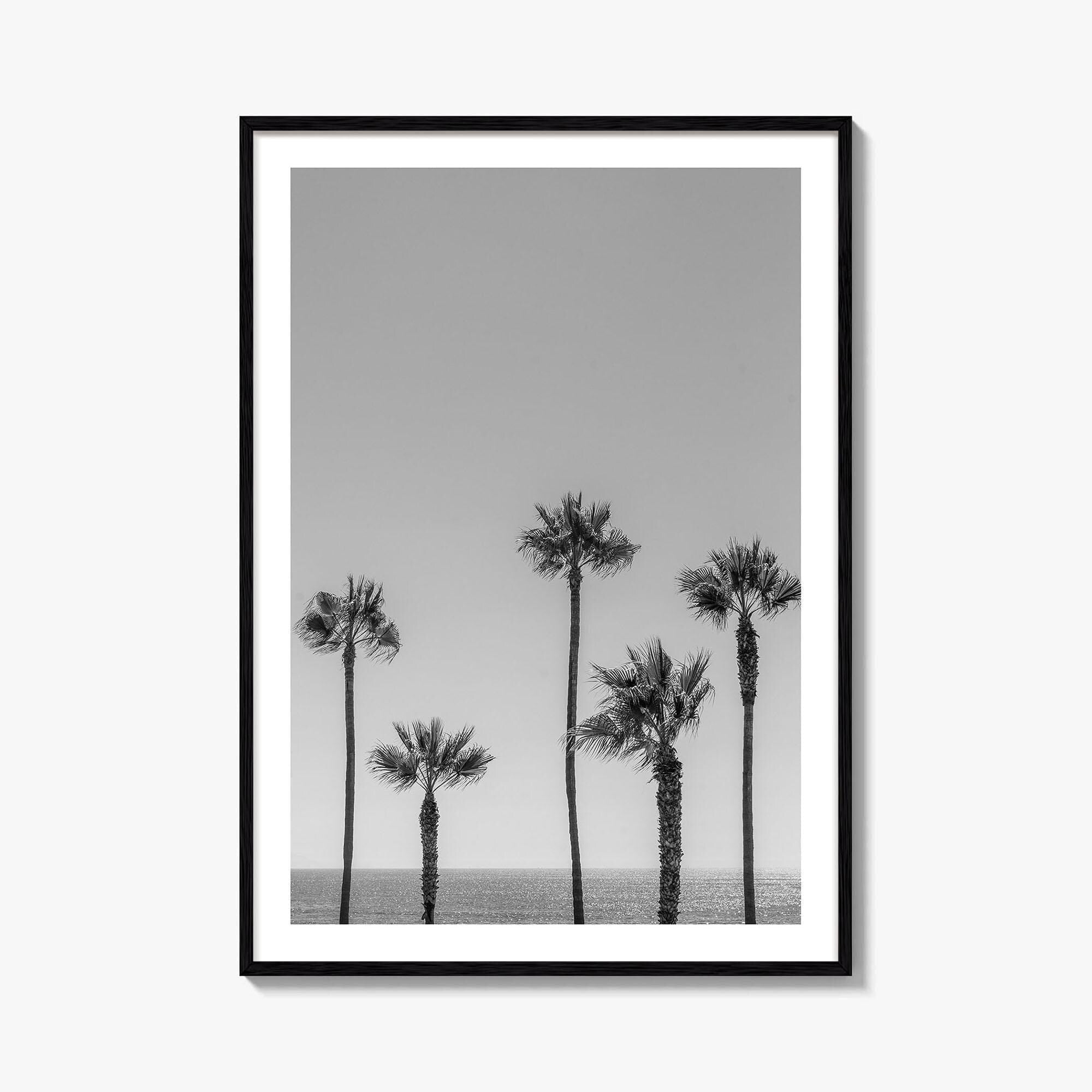 Manhattan Beach Black and White Fine Art Photo Print, Palm Trees LA California Poster