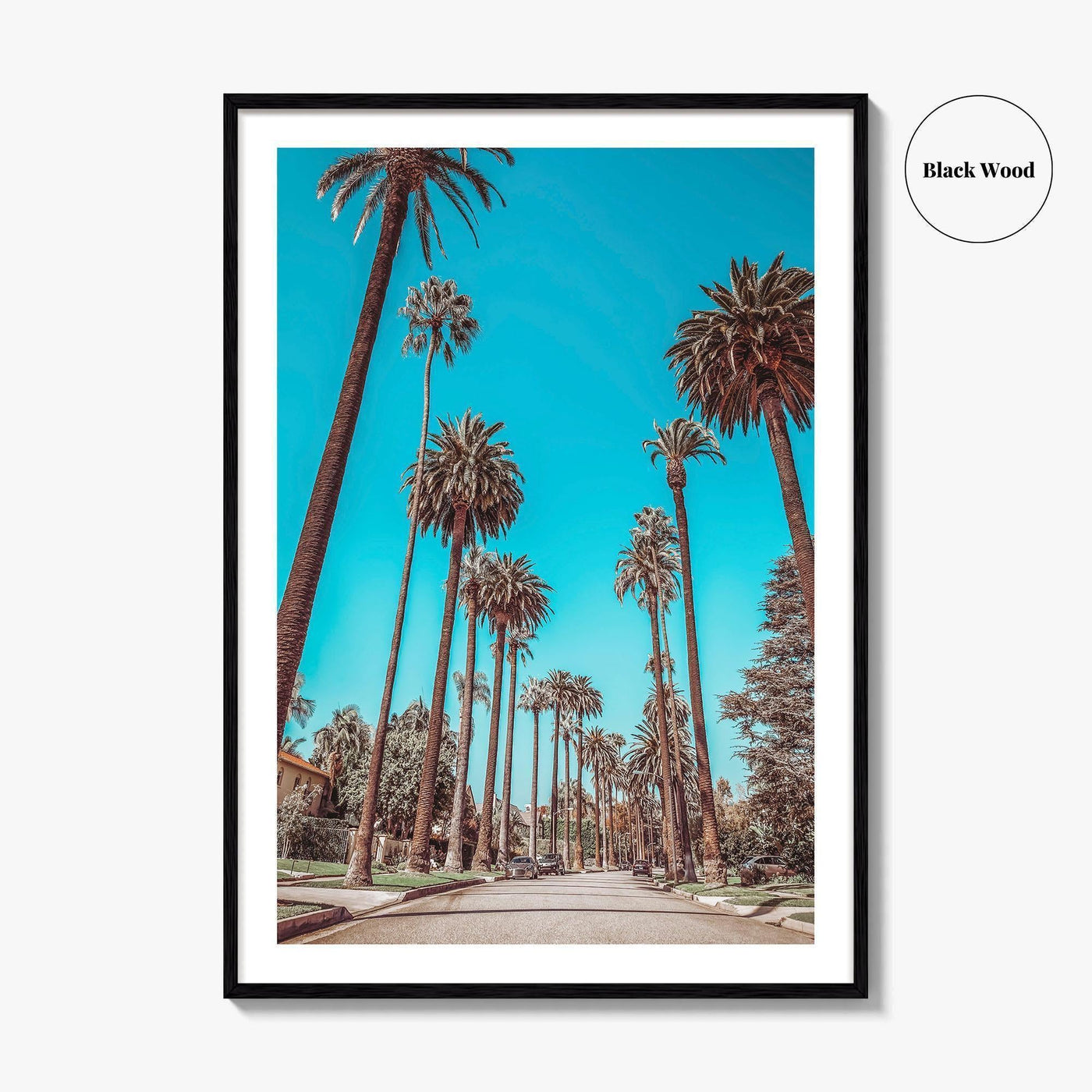 Beverly Hills Fine Art Photo Print, Los Angeles, California, Palm Trees, Photo Poster